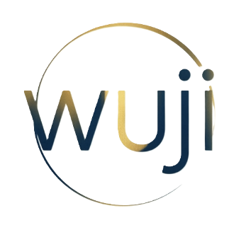 Wuji Soar Logo